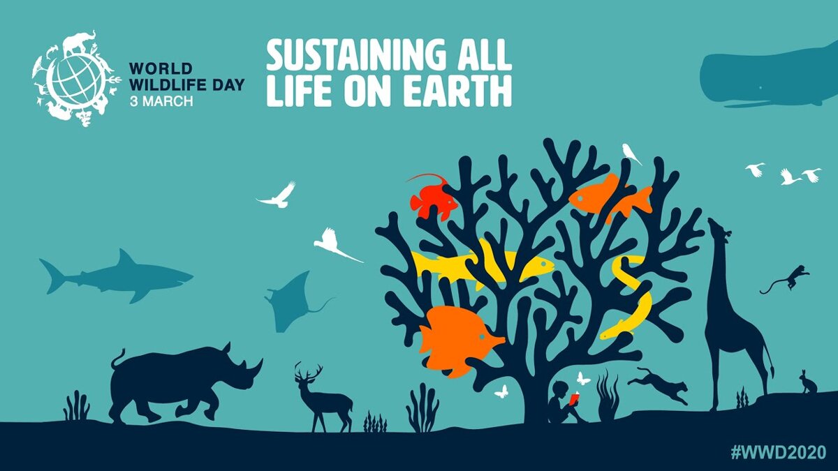 Image of World Wildlife Day